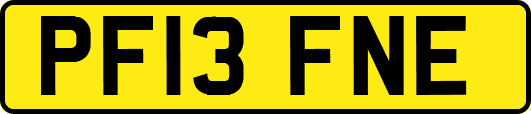 PF13FNE