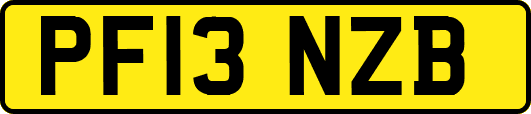 PF13NZB