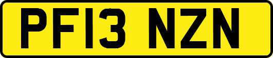 PF13NZN