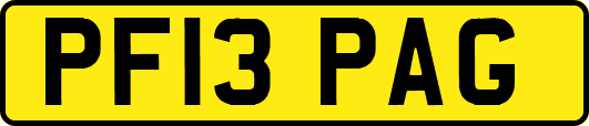 PF13PAG