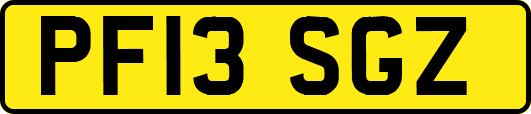 PF13SGZ