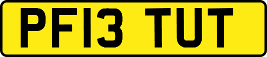 PF13TUT