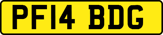 PF14BDG