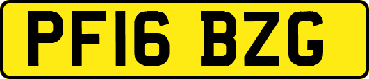 PF16BZG