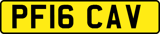 PF16CAV