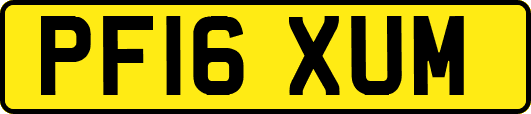 PF16XUM