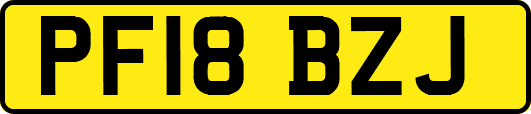 PF18BZJ