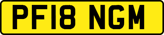 PF18NGM