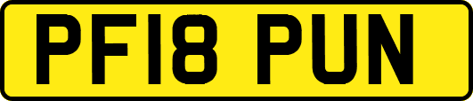 PF18PUN