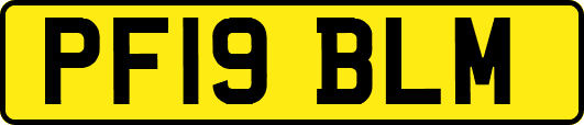 PF19BLM