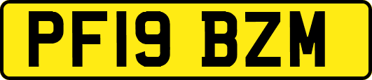 PF19BZM