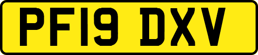 PF19DXV