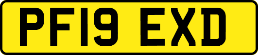 PF19EXD