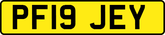 PF19JEY