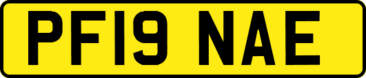 PF19NAE