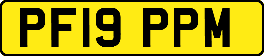 PF19PPM