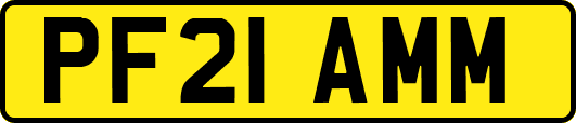 PF21AMM