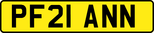 PF21ANN