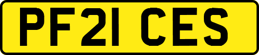 PF21CES