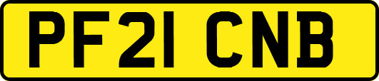 PF21CNB