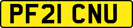 PF21CNU