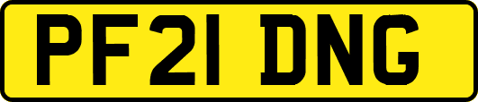 PF21DNG