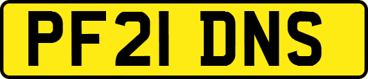 PF21DNS