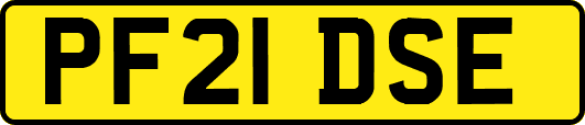 PF21DSE