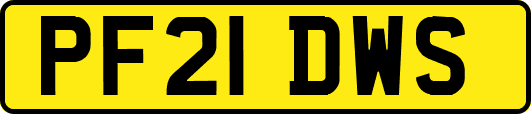 PF21DWS