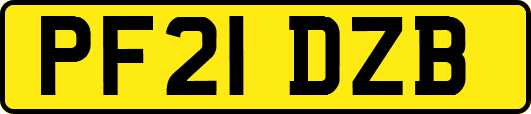 PF21DZB