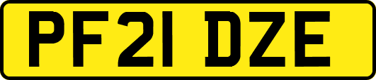 PF21DZE