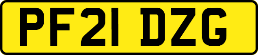 PF21DZG