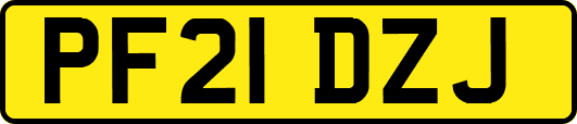 PF21DZJ