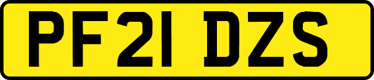 PF21DZS
