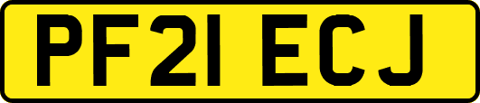 PF21ECJ