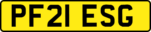 PF21ESG