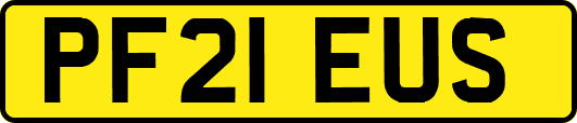 PF21EUS