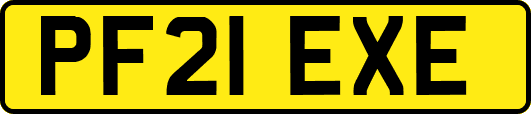 PF21EXE