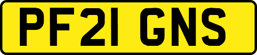 PF21GNS