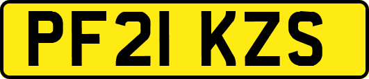 PF21KZS