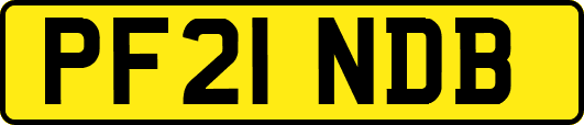 PF21NDB