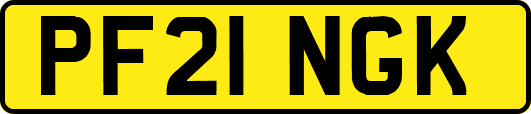 PF21NGK