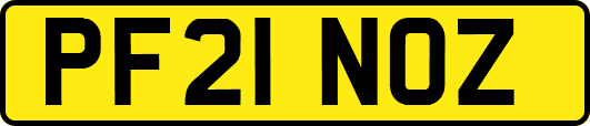 PF21NOZ
