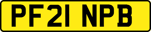 PF21NPB