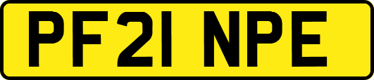 PF21NPE