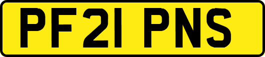 PF21PNS