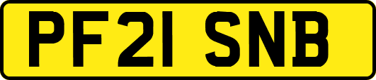 PF21SNB