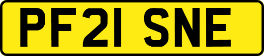 PF21SNE