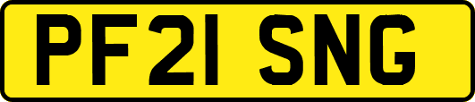 PF21SNG