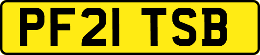PF21TSB